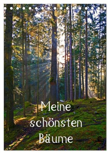Meine schönsten Bäume (Tischkalender 2026 DIN A5 hoch), CALVENDO Monatskalender: 12 schöne Bäume im Salzburger Land (CALVENDO Natur)