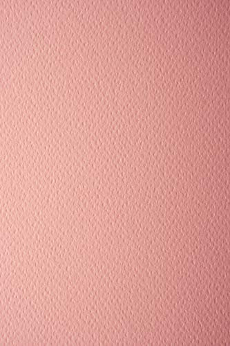 Netuno 10x Tonkarton Lachsfarbe einseitig strukturiert DIN A4 210x 297 mm 220g Prisma Salmone Bastelkarton Struktur hochwertig für Einladungen Visitenkarten Diplome Zeichnen Basteln