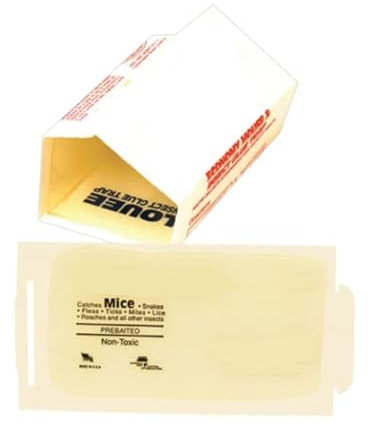 Trappola Adesiva 10 Cartoncini Collanti per Topi ed Insetti Striscianti con esca a base di nocciala Cm 17 x 9