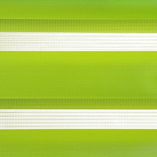 Liedeco Doppelrollo, Klemmfix Duo-Rollo Young Colours«, Lichtschutz, Fixmaß, ohne Bohren