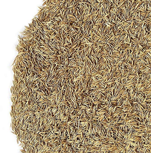 Il Contadino - Antiche Sementi | FESTUCA RUBRA RUBRA | Tappeto molto prestigioso, denso e a foglia fine, Colore verde medio, Abbastanza resistente alla siccità e al caldo (10 Kg)