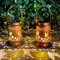 TickTime 2 Pack Hummingbird Garden Solar Lantern, Metal Solar Hummingbird Lantern Outdoor Waterproof Hummingbird Decorative Light Garden Decor Perfect Hummingbird Gifts for Women Mom Grandma, Brown
