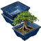 Oairse 2er-Set Bonsai Keramiktopf Bonsaischale mit Entwässerungslöchern für Japanische Bonsai Zimmerpflanzen, Retro-Dekoration für Gartenbehälter-Sets im Freien, Durchmesser Öffnung 16cm