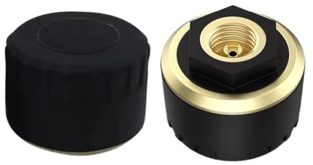 Rtyweth Auto TPMS Reifendruckkontrollsystem Bluetooth 5.0 Telefon Display Motorrad Android Auto App Sensor Druck Reifen für lOS