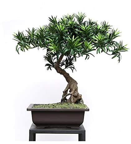 YNIYUJKL Künstlicher Bonsai-Baum, Künstlicher Bonsai-Baum, Keramik-Blumentopf, Künstliche Pflanze, Für Den Innenbereich, Zuhause, Büro, Schreibtisch-Dekoration, Ornament,E-40 * 40cm