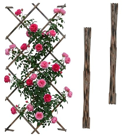 Relaxdays Rankgitter ausziehbar, 3er Set, 180x120 cm, Holz, geflammt | Wandmontage, Rankhilfe Kletterpflanzen, Holzgitter