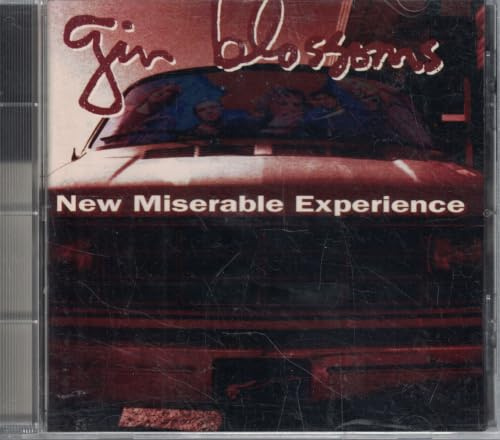 New Miserable Experience