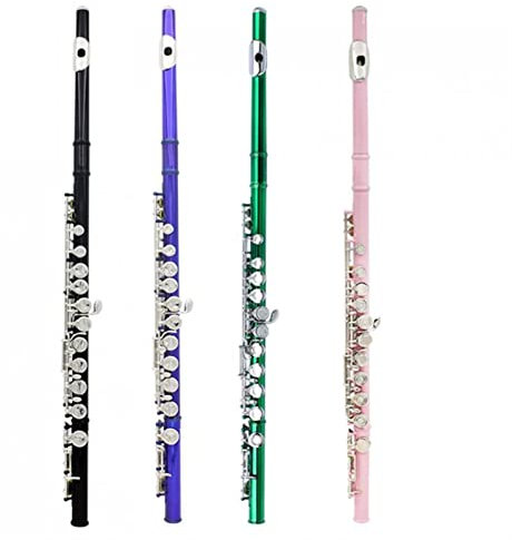 DZDZDZ querflöte Instrument Cupronickel C Tone 16 Geschlossene Löcher Konzertband Flöte Einsteigerflöte (Color : Pink)