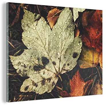 MuchoWow Glasbild Glasfoto Wandbild Bilder Deko 40x30 cm Herbstblätter - Herbst - Jahreszeiten - Natur