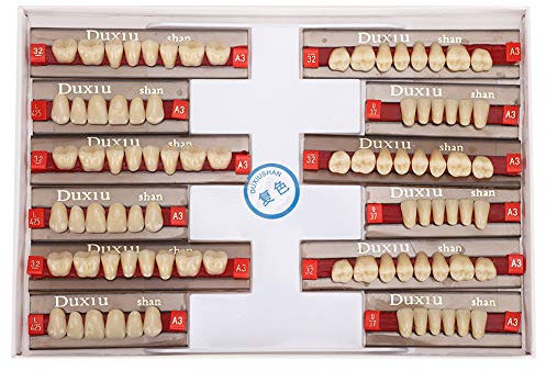 Deror denti in resina 84 pz/set di Denti finti Dente in resina sintetica denti in resina acrilica Forniture per dentisti Pratica di protesi dentaria，denti horror di Halloween