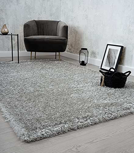 the carpet Willow Langflor, Hochflor Teppich, Wohnzimmer, Schlafzimmer, Modern, Weich, Matt, Einfarbig, Unifarben, Silber 160 x 230 cm