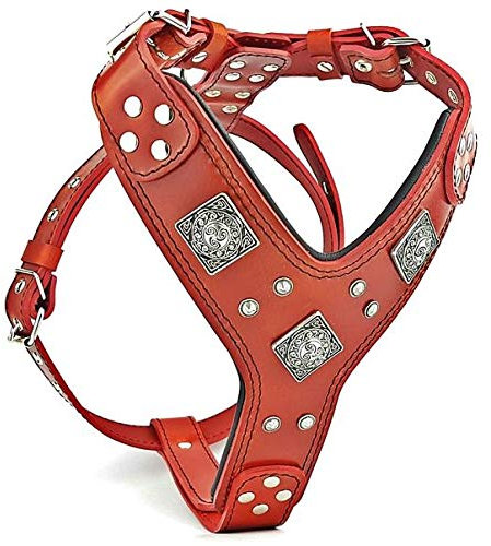 Bestia EROS Leder Hundegeschirr in Rot & Schwarz