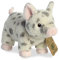 Aurora - Eco Nation - 9.5 Spotted Pig