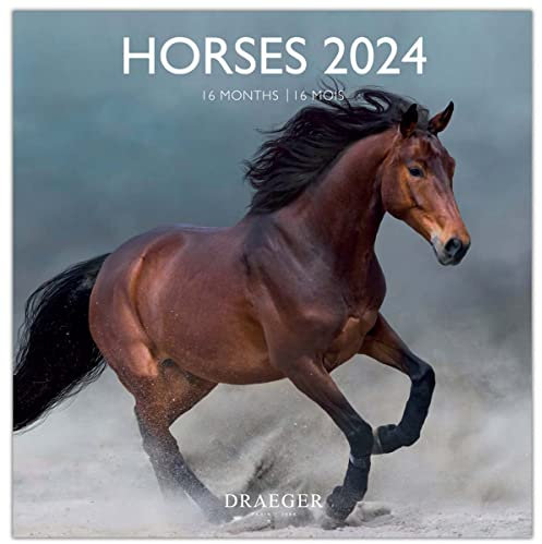 DRAEGER PARIS | Gran calendario de pared Caballos 2024 para colgar 29 x 29 cm | 16 meses de septiembre a 23 a dic 24 | 7 idiomas | Calendario de oficina, hogar, mensual | Decoración, organización |