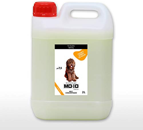 Hundeshampoo Gegen Juckreiz für Spanische Wasserhunde mit Schwarzem Fell - Verbessert die Schwarze Farbe - Feuchtigkeitsspendendes und Veganes Shampoo Texturierung der Locken 2L - MD-10 COLLECTION