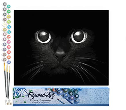 Figured'Art Peinture par Numéro Adulte Tête de Chat noir - Activité Manuelle Kit de Loisir Créatif DIY Numéro d'Art Complet - 40x50cm sans châssis en bois