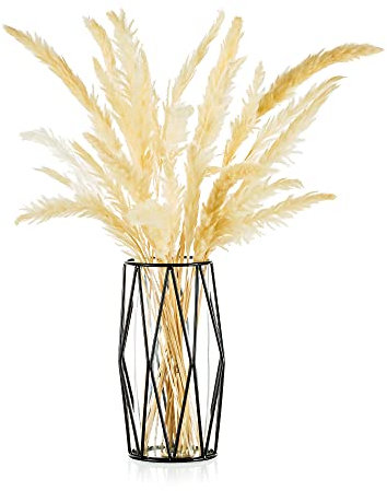Glasblumenvase Mit Geometrischem Metallregalständer, Kristallklarem Terrarienpflanzgefäß, Knospenglasvasen Für Blumen Hydroponics Plant, Herzstück Für Hochzeit Im Home Office, Schwarz, 21,5cm Höch