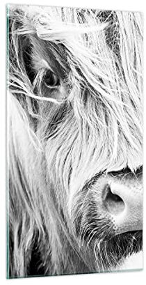 ARTTOR Glasbild 45x80 cm Wandbild Glasdruck Schwarz-Weiß Natur - 5129