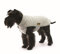 Fashion Dog Fleece-Hundemantel - Grau - 36