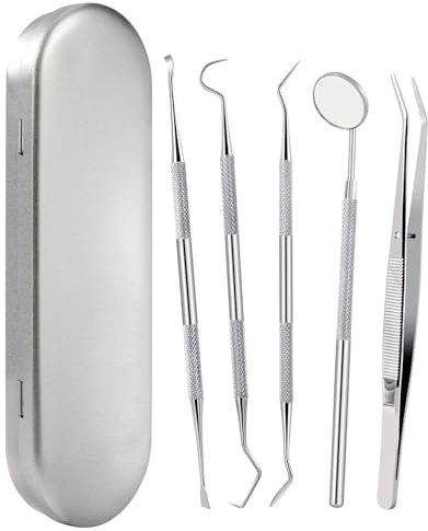 Zeayebsr Strumenti Dentali, 5 Pezzi di Strumenti per la Pulizia dei Denti Tartaro Ablatore Kit, Igiene Dentale Kit,pulizia denti,kit pulizia denti,rimuovi tartaro denti,specillo dentista,tartaro