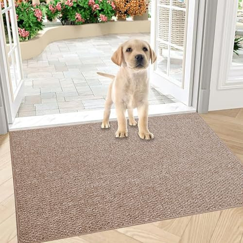 Schmutzfangmatte Innen 50 x 80 cm, Rutschfest Fußmatte Außen und Innen, Waschbar Sauberlaufmatte Türmatte, Wasserdicht Eingangsteppich, Absorbierend Fussmatte für Eingang, Haustür, Flur, Braun
