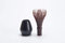 Matcha Tea Whisk Made of Dishwasher Safe Polypropylene PlasticFugestu Chasen Made in Japan [Brown]