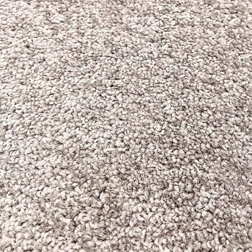 Tuda Carpets | Imperial 6.5mm Pile Budget Carpet with Felt Backing, 8.5mm Total Height | Mushroom (79) - 4m x 5.5m (13ft1 x 18ft)