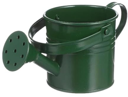 Wasserbehälter, verzinkt, Eisen, Vintage, Pflanzenbehälter, dekorativer Blumenbehälter mit Griff, wasserfestes Garten-Werkzeug für Terrasse, Lawn, Hinterhof, Balkon, Haus, Familie, Freunde