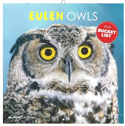 Eulen 2027: Wandkalender 30x30 cm (30x60 cm geöffnet) mit Notizkalendarium, 12 Eulenmotiven und Bucket-List