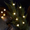 Lights4fun Cadena Luminosa de 50 Bolas con LED Blanco Cálidos a Pilas sobre Cable Verde para Uso en Exteriores