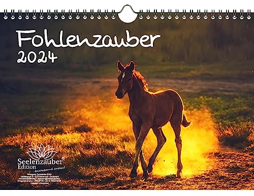 Fohlenzauber DIN A4 Kalender für 2024 Pferde und Fohlen - Seelenzauber