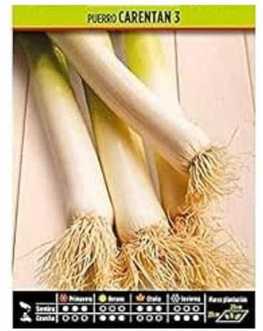 Peyca Semillas Horticolas - Puerro carentan 3 - Semillas listas para plantar.