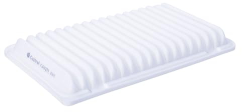 Castrol Filters CA0251 Air Filter