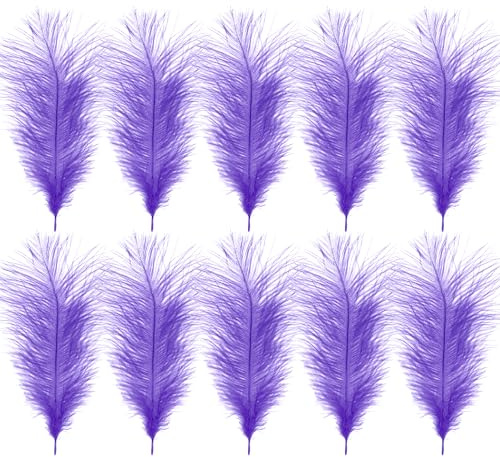 WedDecor 35cm Light Lilac Ostrich Feathers for Wedding Decoration – Real Feather Supplies for Crafts, DIY Headdresses, Dressmaking, Table Centrepieces & Fashion Accessories, 10pcs | Craft Feathers for Wedding Centerpieces, Home, Decorating Costumes, Embellishment, Art & Craft, Parties
