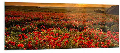 Panorama Bilder auf Glas Mohn Blume Wiese Glasbild 140x50cm Wandbilder Dekoration Wohnzimmer Schlafzimmer Küche Groß XXL Wanddeko Bild im Glas Wand Kunstdruck Art Modern Wall Decor GAB140x50-3643