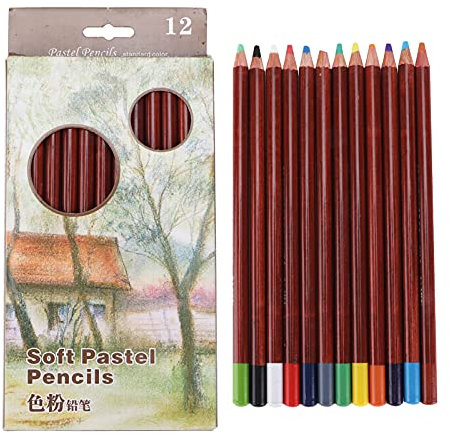 Zerodis Buntstifte Professionelles Set Zeichnungsskizze Carbon Malerei Stift Kalligraphie Schreiben Bürozeichnung für Erwachsene Profi-Künstler