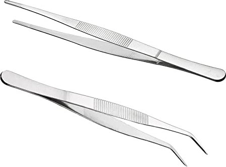 Lot de 2 pinces à épiler longues et droites courbées en acier inoxydable 25 cm pour animaux aquatiques, coraux, travaux manuels, réparation de cuisine