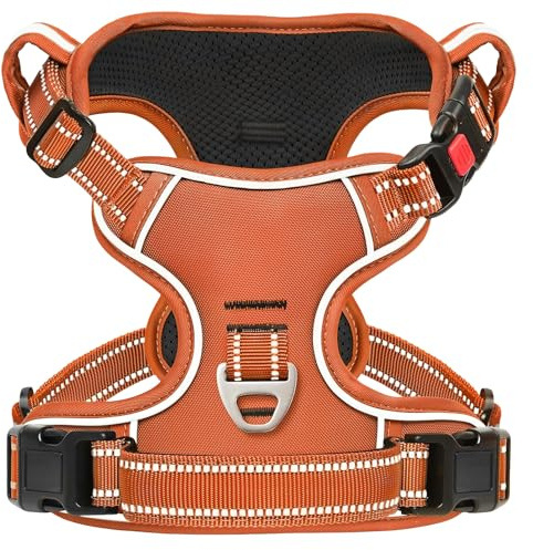 HEELE Hundegeschirr, Abschließbarem Schnappverschluss, Kürbis Orange, XL | Brustgeschirre für Hunde Anti Zug, Ohne Kopfdurchzug, Halsverschluss mit Sicherung, D-Ringe, Weich Gepolstert Reflektierend