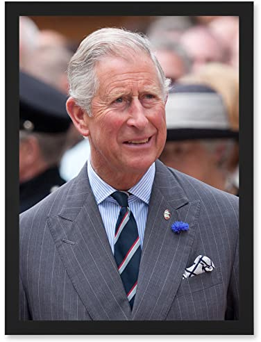 Artery8 King Charles III Third of England Scotland United Kingdom Photo by Dan Marsh Artwork Framed Wall Art Print A4