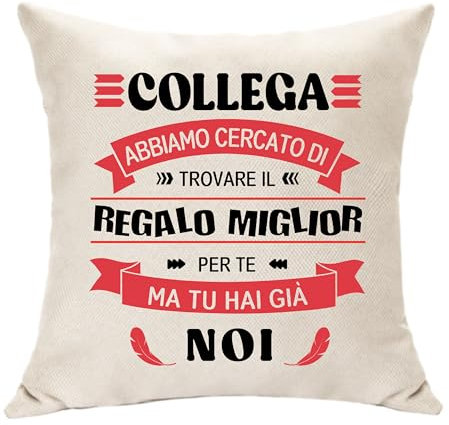 Regali di Addio per Collega - Copricuscino Decorazione Ricordo Idee per Compleanno, Bestie del Lavoro, Amiche, Pensione, Promozionali (Collega-Noi)