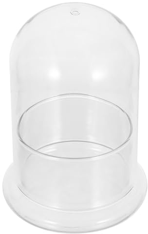 BAZEITFLOW Klares Glas Terrarium DIY Ökosystem Flaschengarten mit Moos Luftpflanzen Hydroponik für Kreative Mikro landschaften und Dekorative Pflanzenarrangements