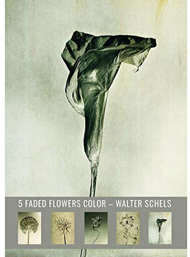 5 BLUMENPOSTKARTEN. Postkartenset #1 Walter Schels