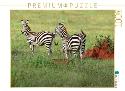 CALVENDO Puzzle Zebra | 1000 Teile Lege-Größe 64 x 48 cm Foto-Puzzle für glückliche Stunden