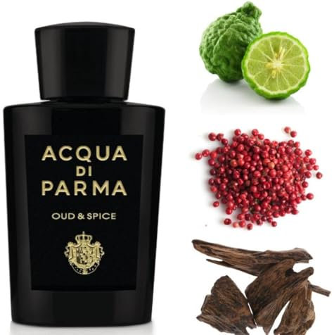 Signatures Of The Sun Oud&Spice Edp Vapo 100 Ml