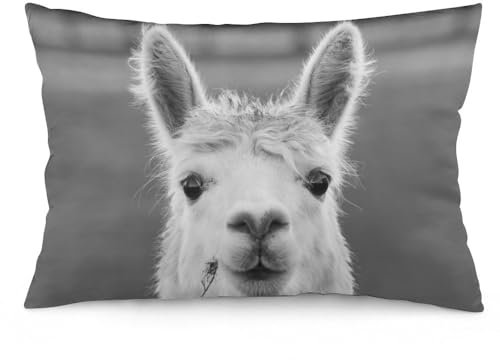 NIBABA Kissenbezüge, 1 Stück, niedliches niedliches Tier, Lama, Alpaka, dekorative Kissenbezüge, 35 x 50 cm, weiches Polyester, quadratisch