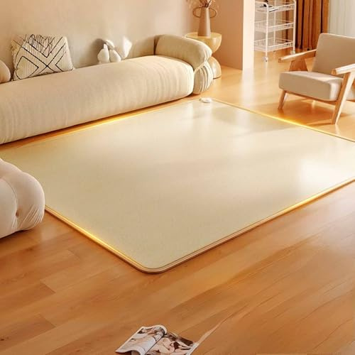 Snaweo Beheizte Bodenmatte,Mit Timer Und Einstellbarer Temperatur, Elektrischer Heizteppich, wasserdichte Heizmatte, Fußwärmer for Unter Den Schreibtisch(Color2,50x80cm/19.7x31.5in)