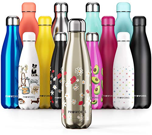 Proworks Insulated Water Bottle, BPA-Free, Reusable Stainless Steel Bottle for 12 Hours Hot & Cold Hold Up to 24 Hours, Sport, Gym, Travel – 500 ml – Gold – Daisy