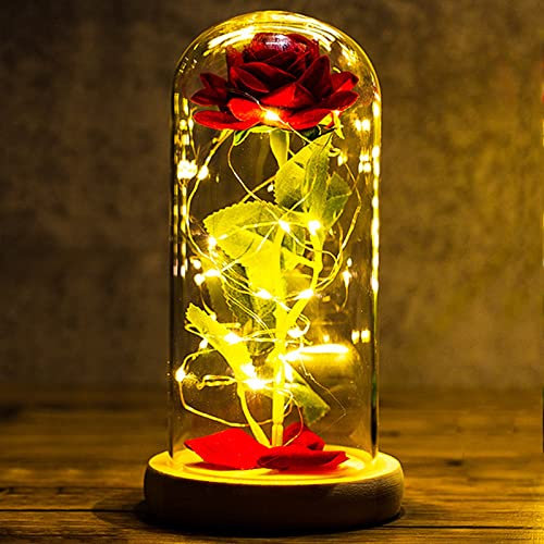 Cadeau Fete des Meres Rose Eternelle sous Cloche Idee Cadeau Femme La Belle et la Bête Dôme en Verre avec Lumière LED Cadeau Maman Mamie Grand Mere Belle Mere Cadeau Anniversaire Femme Fleur Eternelle
