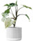 LIATH | Blumentopf aus Beton | Übertopf | Pflanzenhalter | Blumenvase | Edition ONE | Kyoto (S | 10cm, Cloud)