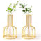 Mtsooning 2 Stück goldene Blumenvase mit Metallrahmen, Metall Vase mit Reagenzgläser, kleine Metall Knospenvasen, kleine vasen für Tischdekoration, Hochzeitsdekoration und Wohnzimmerdekoration